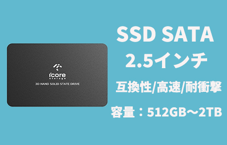 SSD SATA